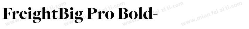 FreightBig Pro Bold字体转换